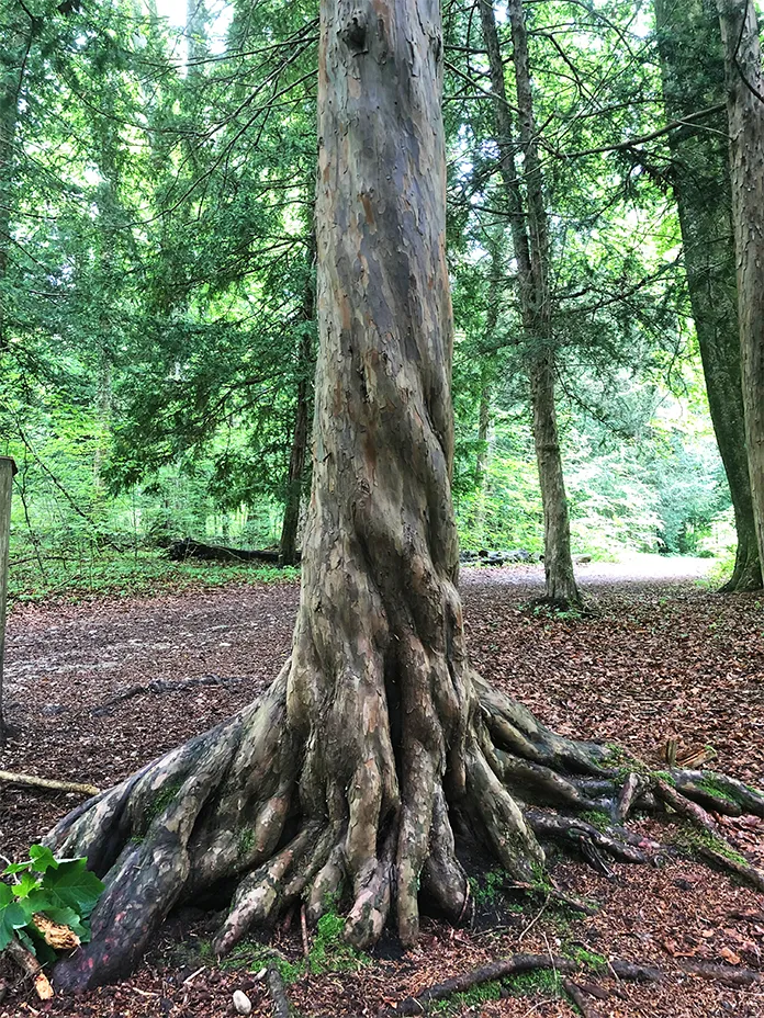 Der weitere Ablauf bei Coaching