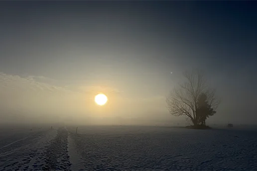 Depressionen und anhaltende depressive Verstimmungen